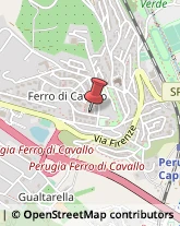 Pedagogia - Studi e Centri,06127Perugia