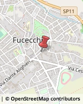 Provincia e Servizi Provinciali Fucecchio,50054Firenze