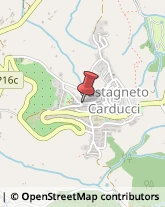 Carte Speciali Castagneto Carducci,57022Livorno