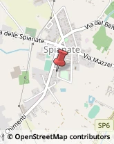 Vendite per Corrispondenza,55011Lucca