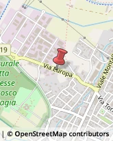 Divani e Poltrone - Dettaglio Quarrata,51039Pistoia