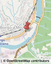 Componenti e Ricambi Auto Borgo a Mozzano,55023Lucca