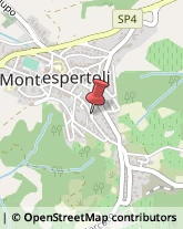 Alimentari Montespertoli,50025Firenze