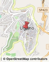 Abbigliamento Urbino,61029Pesaro e Urbino