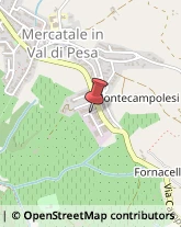 Cornici ed Aste - Produzione San Casciano in Val di Pesa,50026Firenze