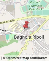 Commercio Elettronico - Società Bagno a Ripoli,50012Firenze