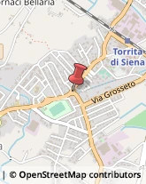 Tour Operator e Agenzia di Viaggi Torrita di Siena,53049Siena
