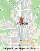 Associazioni Sindacali Pescia,51017Pistoia