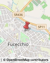 ,50054Firenze