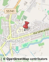 Scuole Pubbliche Firenze,50125Firenze