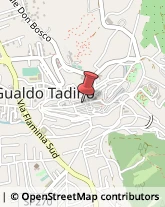 Pelletterie - Dettaglio Gualdo Tadino,06023Perugia