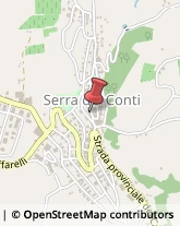 Frutta e Verdura - Dettaglio Serra De' Conti,60030Ancona