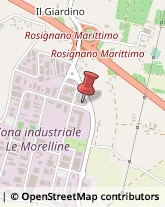 Elettrauto Rosignano Marittimo,57016Livorno