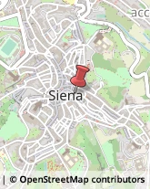 Carte di Credito - Servizi Siena,53100Siena