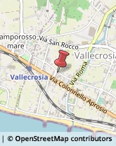 Alimentari Vallecrosia,18019Imperia