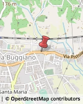 Autotrasporti Buggiano,51011Pistoia