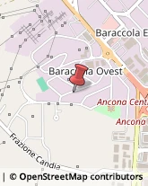 Bullonerie Ancona,60131Ancona