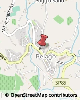 Istituti di Bellezza Pelago,50060Firenze