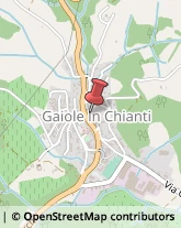 Bar e Caffetterie Gaiole in Chianti,53013Siena