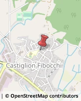 Scuole Pubbliche Castiglion Fibocchi,52029Arezzo