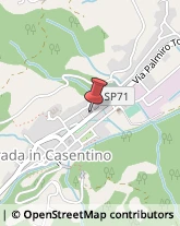 Società Immobiliari Castel San Niccolò,52018Arezzo