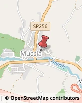 Scuole Pubbliche Muccia,62034Macerata