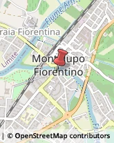 Cambia Valute Montelupo Fiorentino,50056Firenze