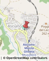 Adesivi Asciano,53041Siena