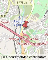 Associazioni Sindacali,06127Perugia