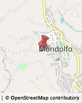 Vivai Piante e Fiori Mondolfo,61037Pesaro e Urbino