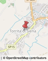 Uffici ed Enti Turistici Torrita di Siena,53049Siena