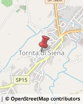 ,53049Siena