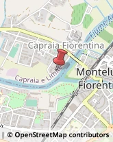 Agenti e Rappresentanti di Commercio Capraia e Limite,50056Firenze