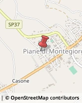Pelletterie - Dettaglio Montegiorgio,63833Fermo