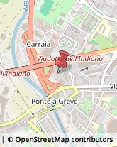 Vendite per Corrispondenza Firenze,50142Firenze