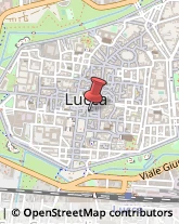 Assicurazioni,55100Lucca