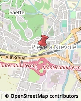 Istituti di Bellezza Pieve a Nievole,51018Pistoia