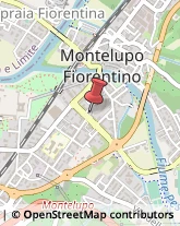 Notai Montelupo Fiorentino,50056Firenze