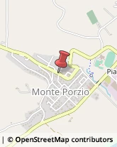 Consulenze Speciali Monte Porzio,61039Pesaro e Urbino