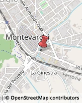 Tour Operator e Agenzia di Viaggi Montevarchi,52025Arezzo