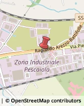 Assicurazioni,52100Arezzo