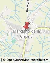 Macellerie Marciano della Chiana,52047Arezzo