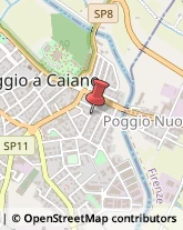 ,59016Prato