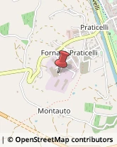 Locali, Birrerie e Pub Castelfiorentino,50051Firenze