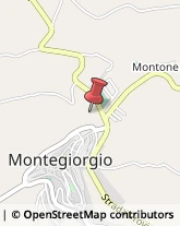 Biotecnologie Montegiorgio,63833Fermo