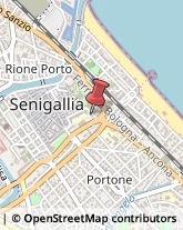 Spezie Senigallia,60019Ancona