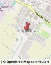 Piante e Fiori - Dettaglio Prato,59100Prato