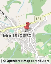 Stoffe e Tessuti - Dettaglio Montespertoli,50025Firenze