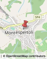 Corrieri Montespertoli,50025Firenze