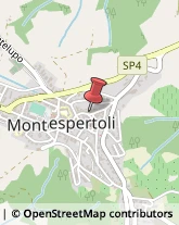 Fiere, Saloni e Mostre - Enti Organizzatori Montespertoli,50025Firenze